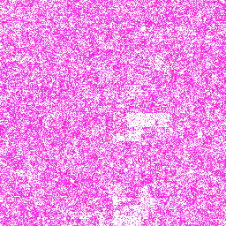 Cannabissativa_srain_Purple_Kush Lysine