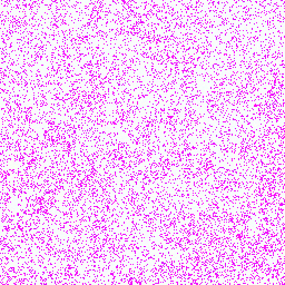 Gorilla_gorGor4_chr2A Arginine