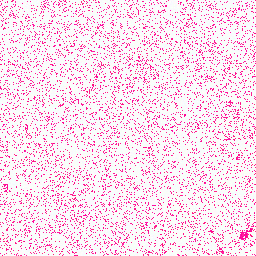 Gorilla_gorGor4_chr2A Histidine