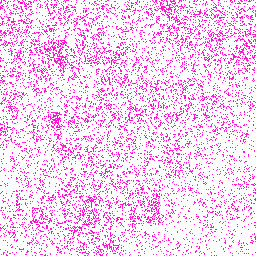 Gorilla_gorGor4_chr2A Lysine