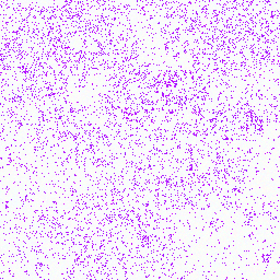 Gorilla_gorGor4_chr2A Tyrosine