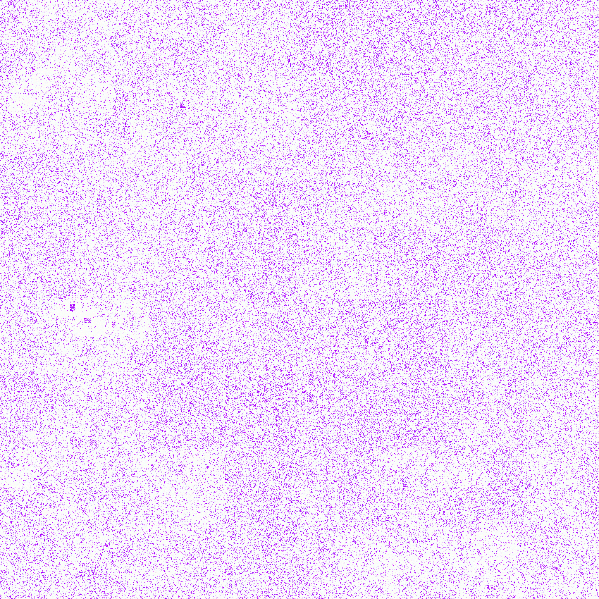 Gorilla_gorGor4_chr2A Tyrosine